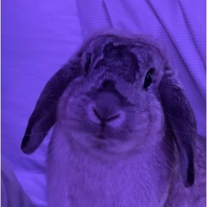 Meet your Posher, Audrey